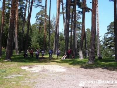 Ruta senderismo Peñalara - Parque Natural de Peñalara; calidad en el senderismo